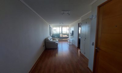 San Pedro De La Paz, Huertos Familiares